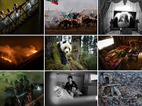 The 2026 World Press Photo winners offer a striking glimpse at tumultuous year